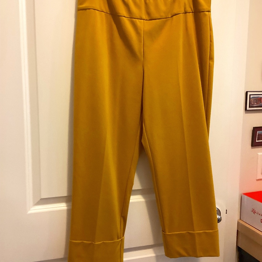 NWT Up! Size 16 Dijon pull on ankle pants